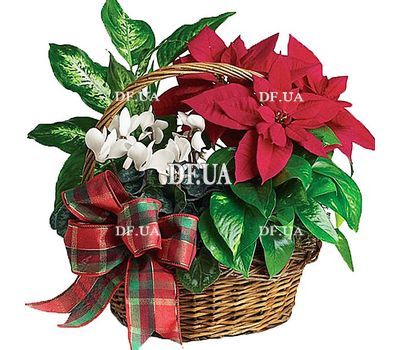 Potted flowers in the basket