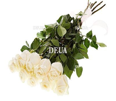 Imported white roses