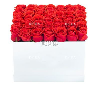 Arrangement of red roses in a square box
