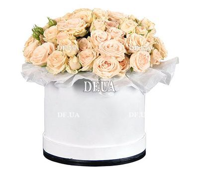 Box of 25 cream-colored roses