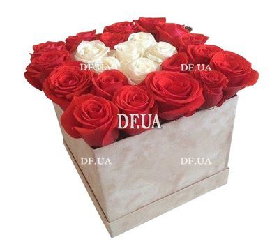 Red and white roses in a box