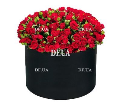 Red bush roses in a box