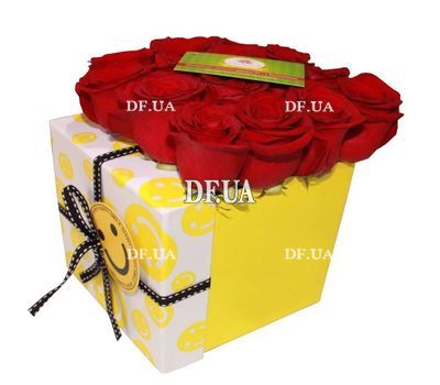 Red roses in a square box
