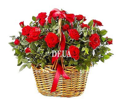 Bush roses in a pot in a basket