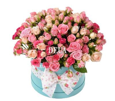 Shrub roses in a round box