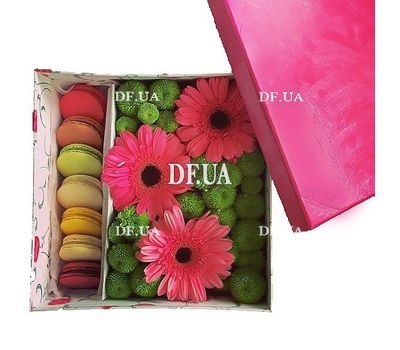 Macaroons and flowers set