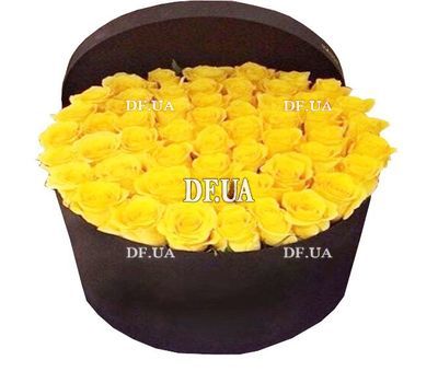 Huge box of yellow roses