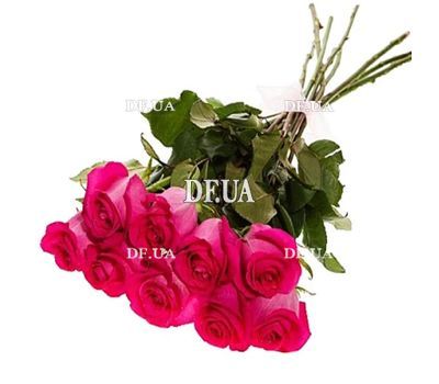 Pink imported roses 9 pcs