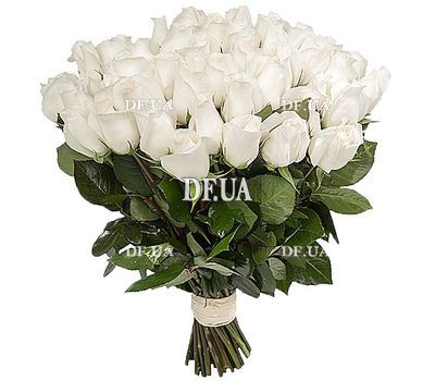Roses for Birthday Girl