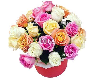 Roses of different colors in the box