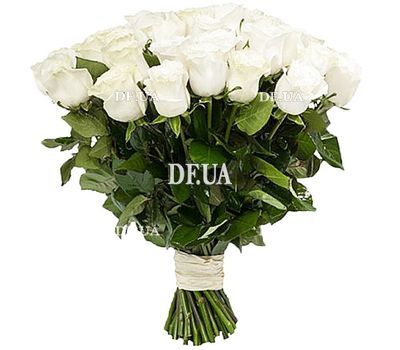 Roses sort Anastasia