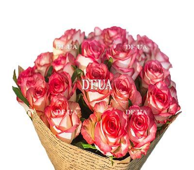 Roses of the Blash variety