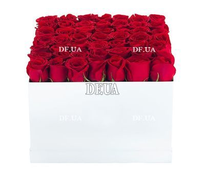 Roses in a box to buy