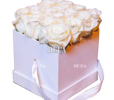 Roses in a square box