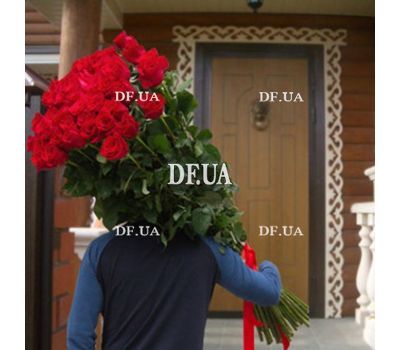 The largest meter roses
