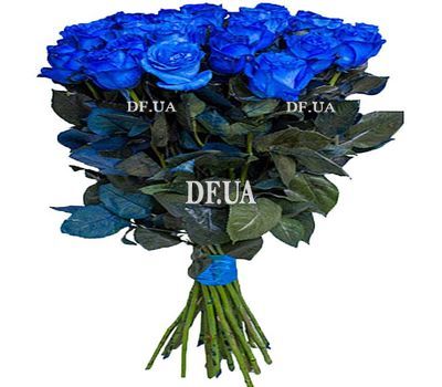 Blue Roses