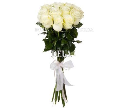Roses of the sort Mondial