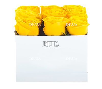Yellow roses in a square box