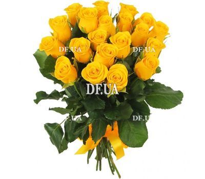 Yellow Dutch roses