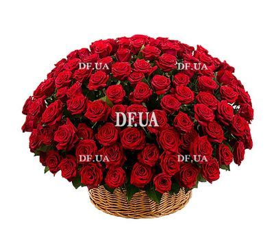 201 red rose in the basket