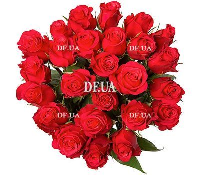 25 imported red roses - view 1