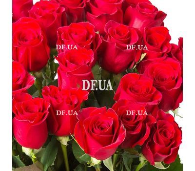 25 imported red roses - view 2