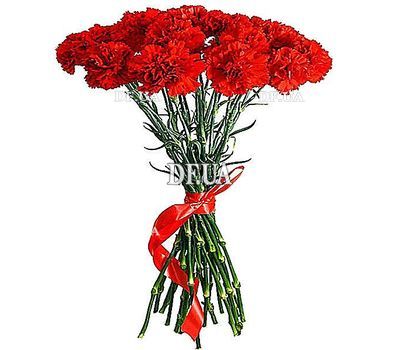 Букет 25 гвоздик