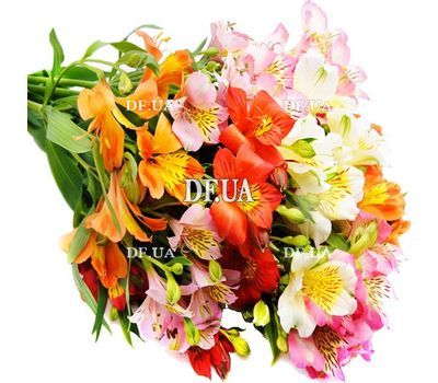 Bouquet of alstroemerias