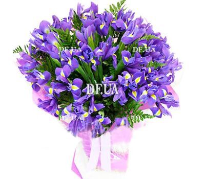 Irises for the beloved