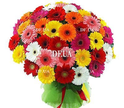 Huge bouquet of gerberas