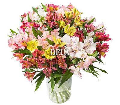 Bouquet of 25 alstromeries