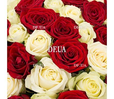 Bouquet of 45 roses - view 2