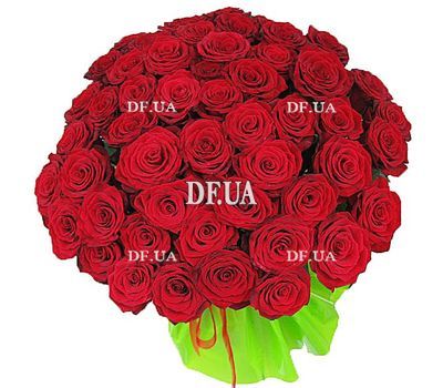 Bouquet of 47 red roses - view 1