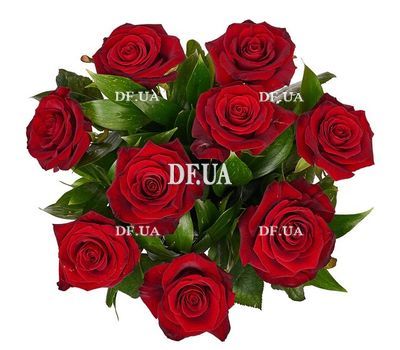 Bouquet of 9 burgundy roses - view 1