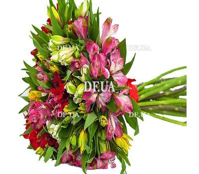 Bouquet of different color alstroemerias