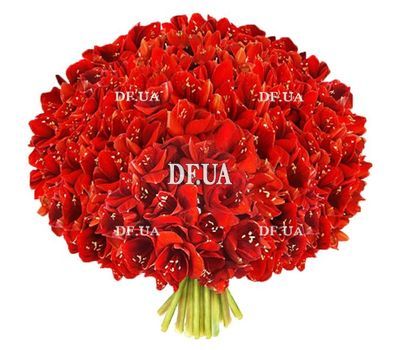 Flowers for a man for an anniversary