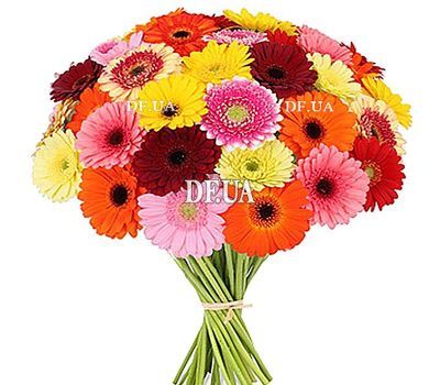 Bouquet of multicolored gerberas