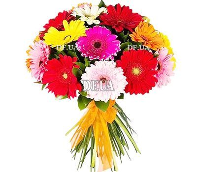Gerberas to buy a bouquet