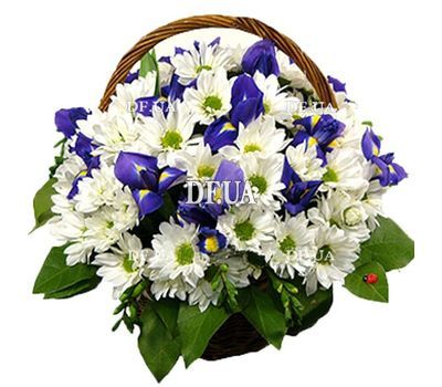 Chrysanthemums and irises in the basket