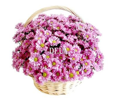 Chrysanthemums in the basket