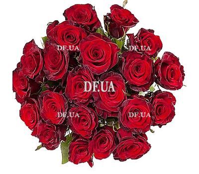 Imported roses with large buds - view 1