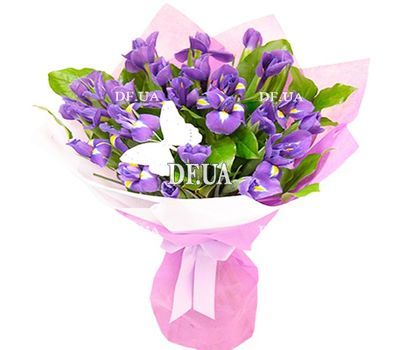 Irises purple