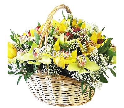 Composition in the basket