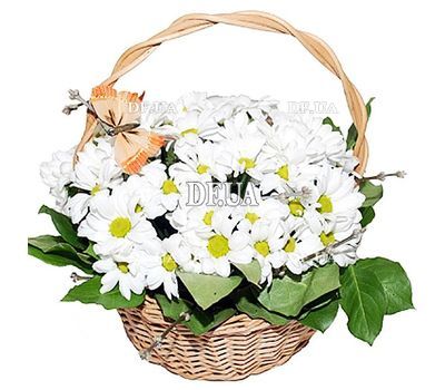 Composition in a basket of chrysanthemums