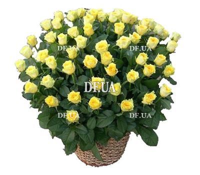 Кошик 135 жовтих троянд