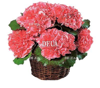 Basket of flowers from carnations