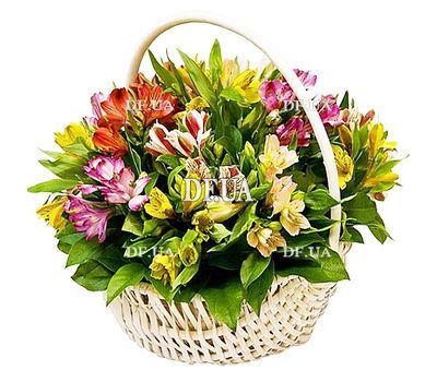 Basket of flowers for your beloved woman