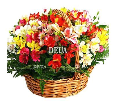 Basket of alstroemerias