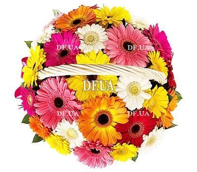Basket with gerberas