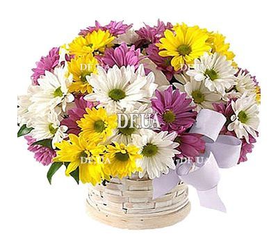 Basket of multi-colored chrysanthemums